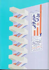 مقیاس افزایی برق آسا